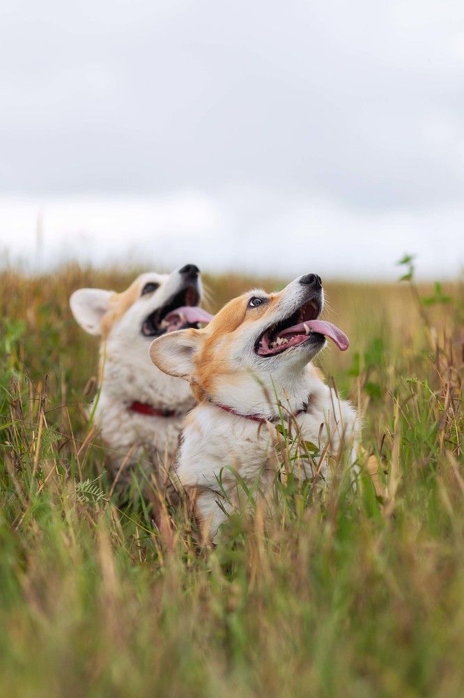 Photograph by Анна Федорова