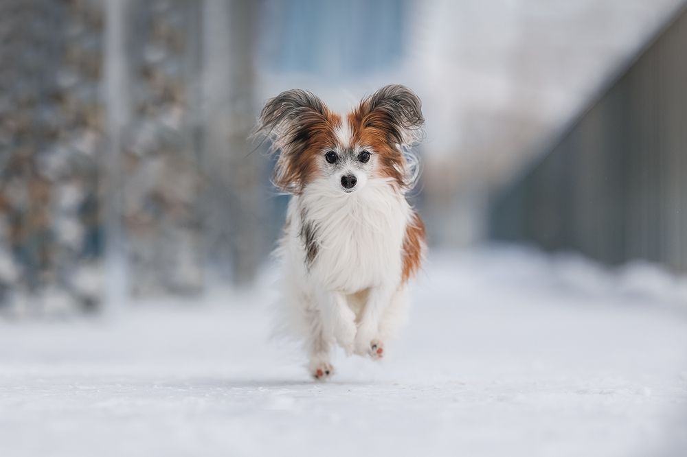 Photograph by Шитиков Владимир