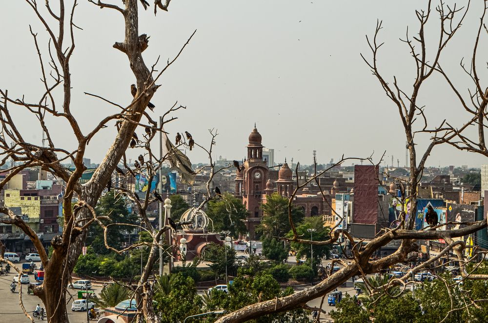 Photograph by Shahzad