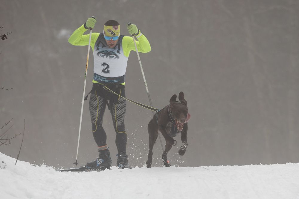 Photograph by Илья Юфа