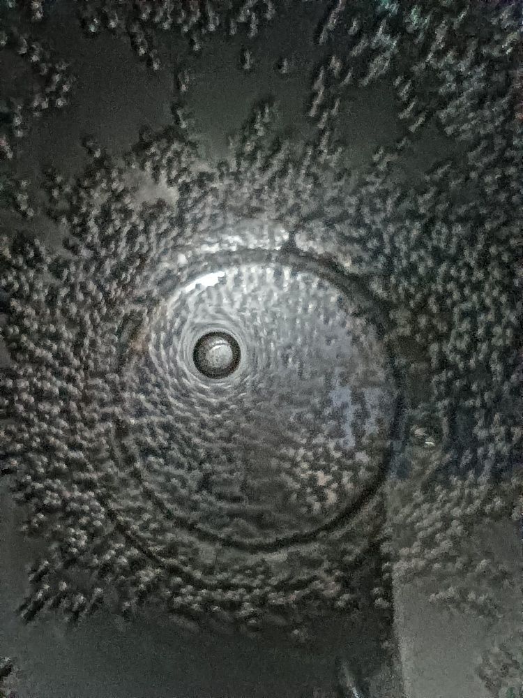 Photograph by Bhargav Pinapatruni