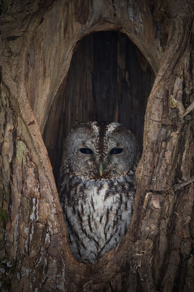 Photograph by Вячеслав Заметня