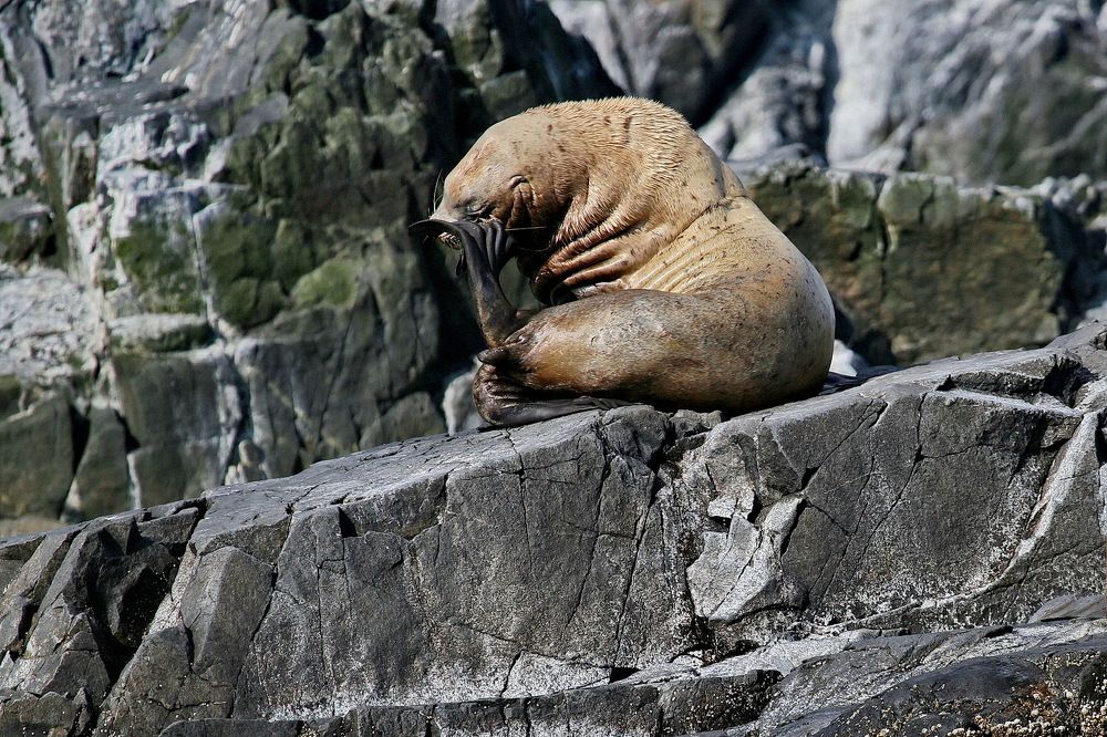 Фотография автора Александр Челмодеев
