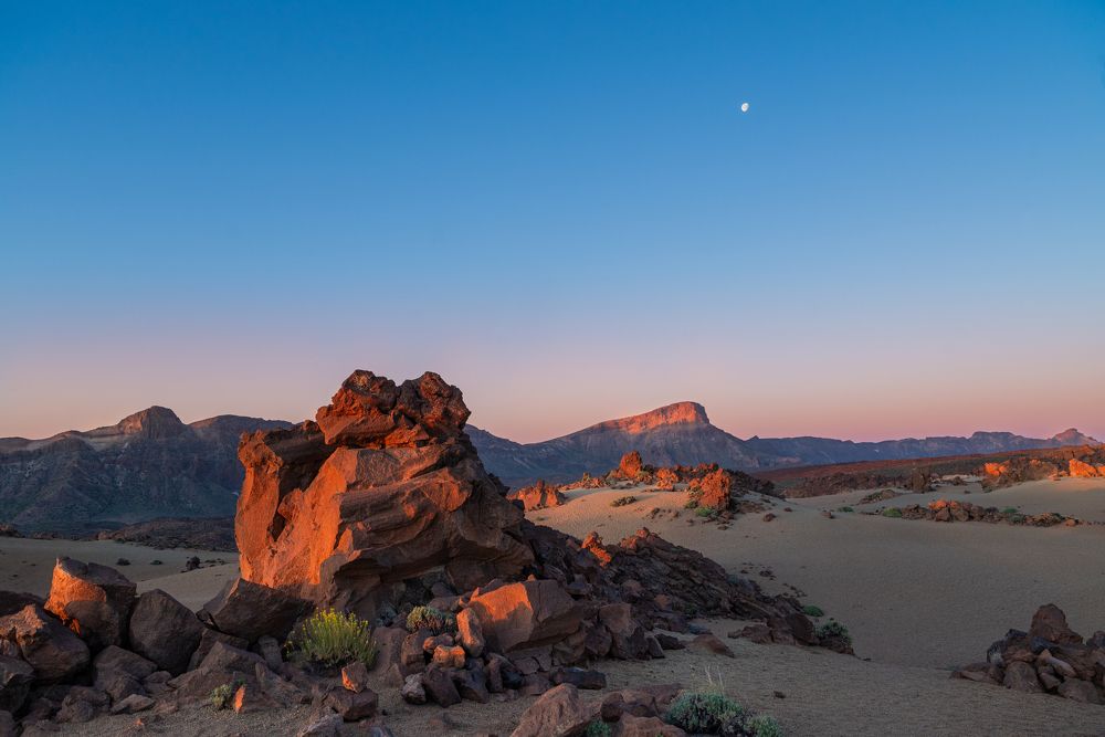 Good Morning from Mars