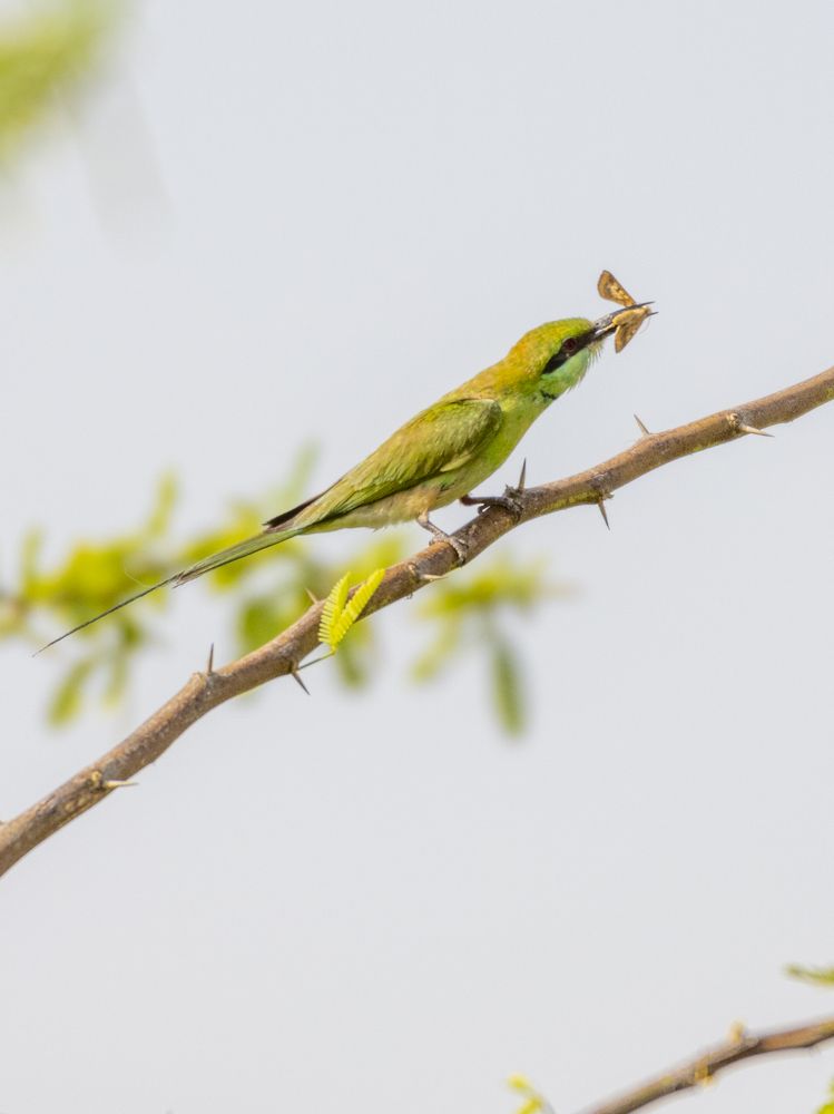 Photograph by Aryan Bhutani