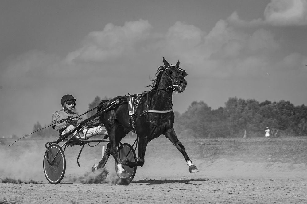 Photograph by Екатерина Лурина