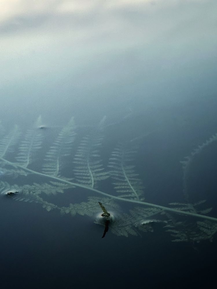 Photograph by Evgenia Barinova