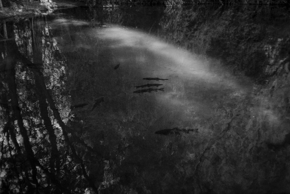 Photograph by Carlos Navarro