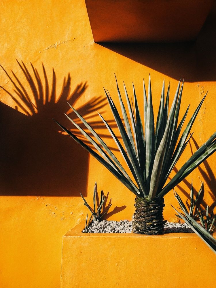 Фотография автора Julie Mishka