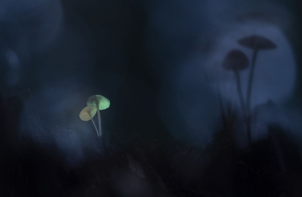 Photograph by Людмила Бегунова