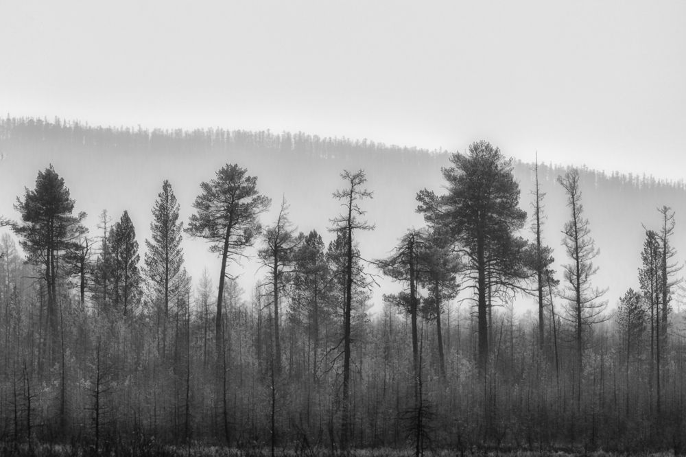 Photograph by Полякова Наталия