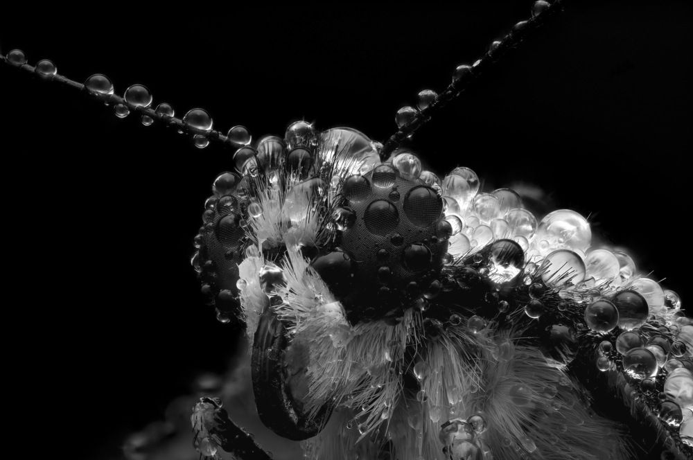 Photograph by Юрий Юрьевич