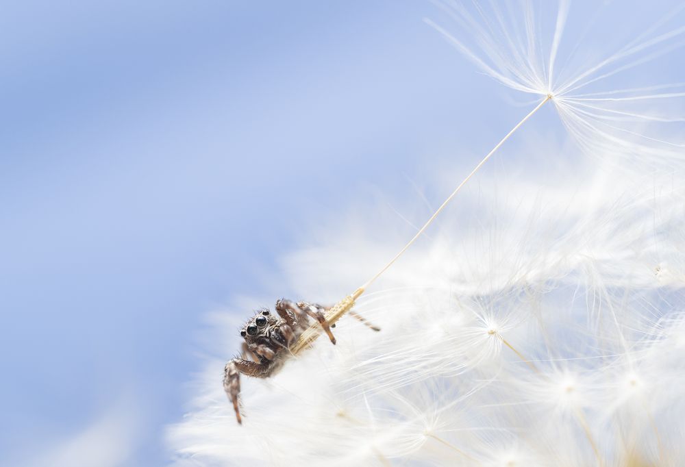 Photograph by Людмила Бегунова