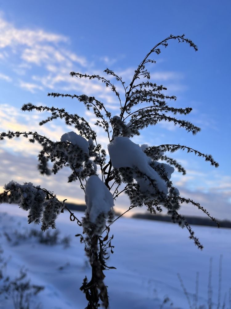 Photograph by Lina Ignatova