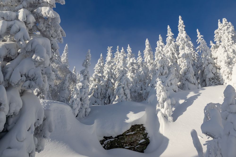 Фотография автора Анастасия Тараканова