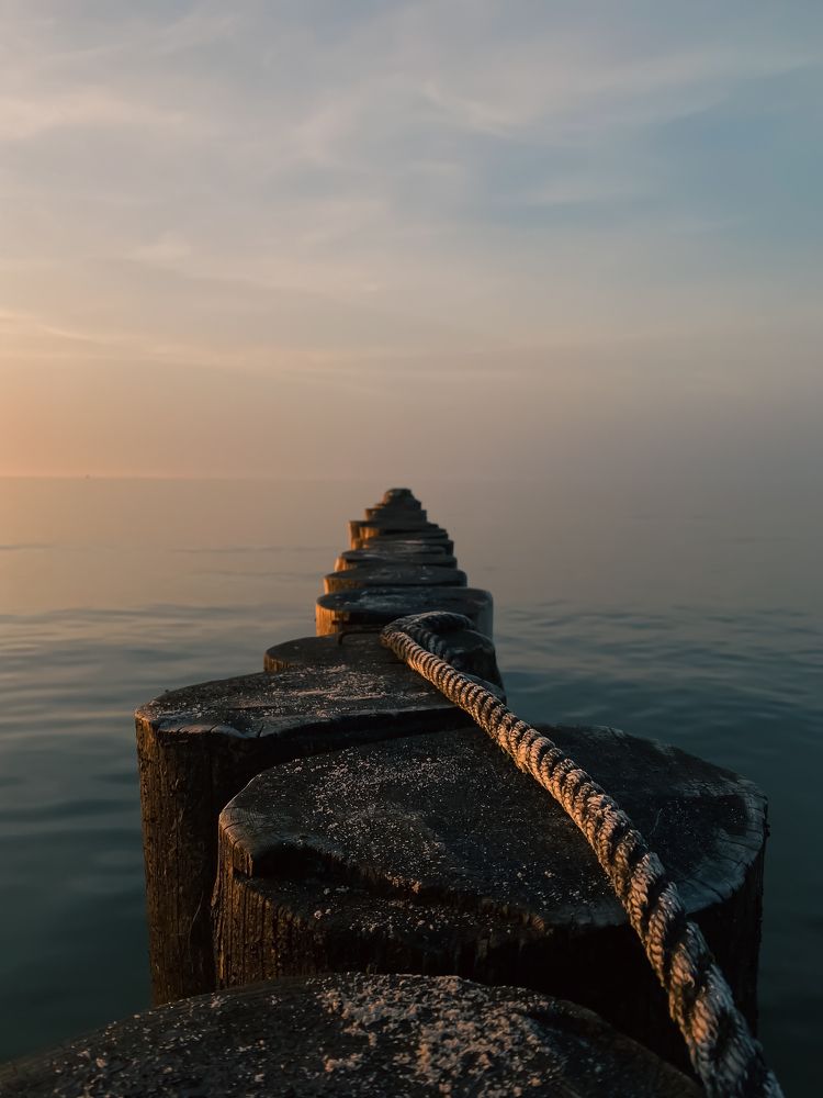 Фотография автора Ольга Артковская