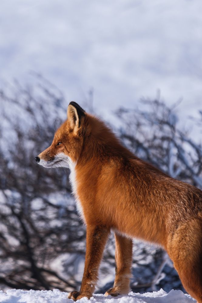 Photograph by Антон Бойков