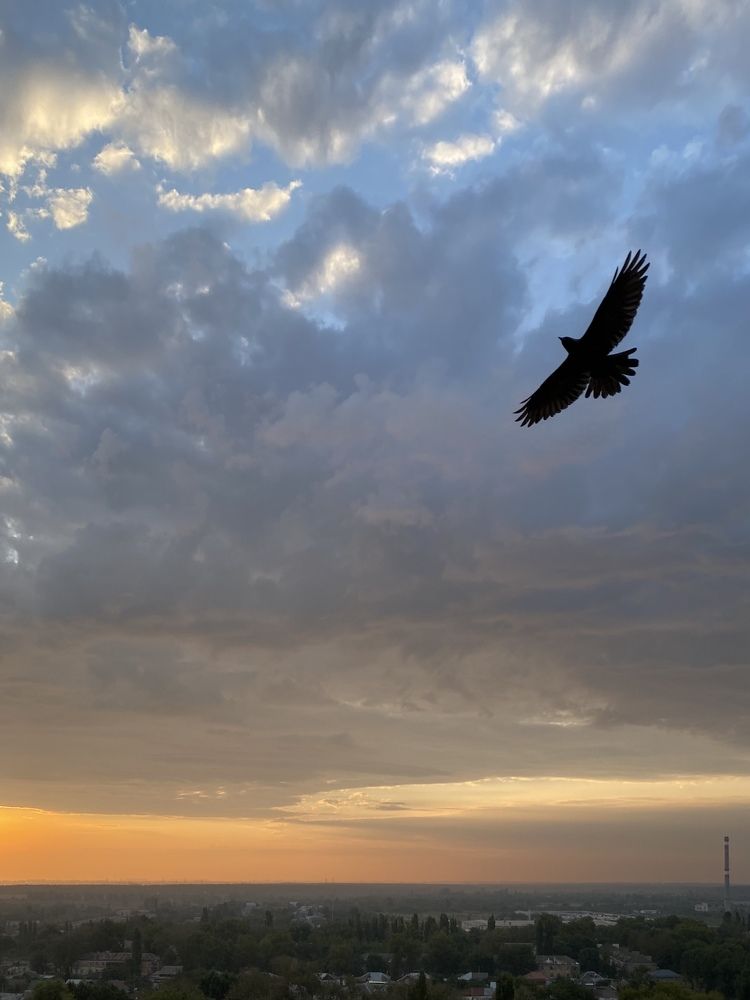 Фотография автора Нина Мальцева