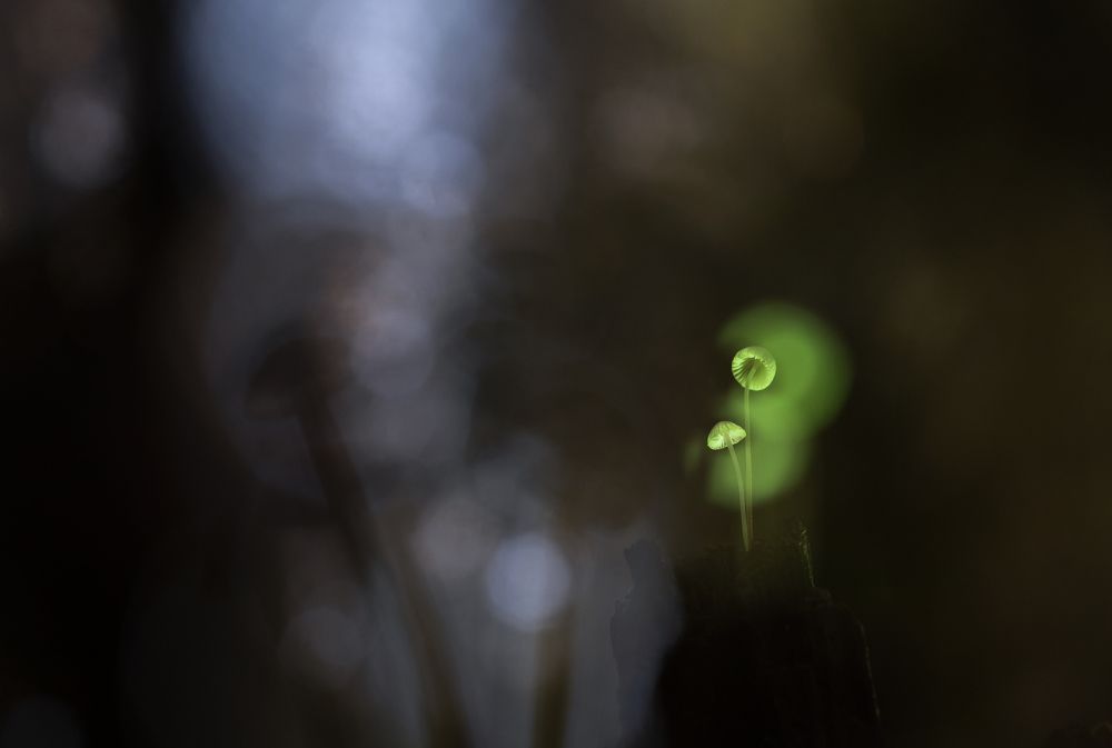 Photograph by Людмила Бегунова