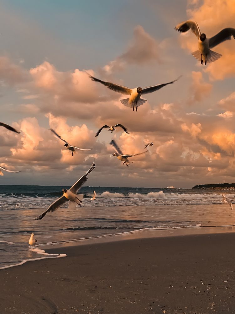 Фотография автора Ольга Артковская