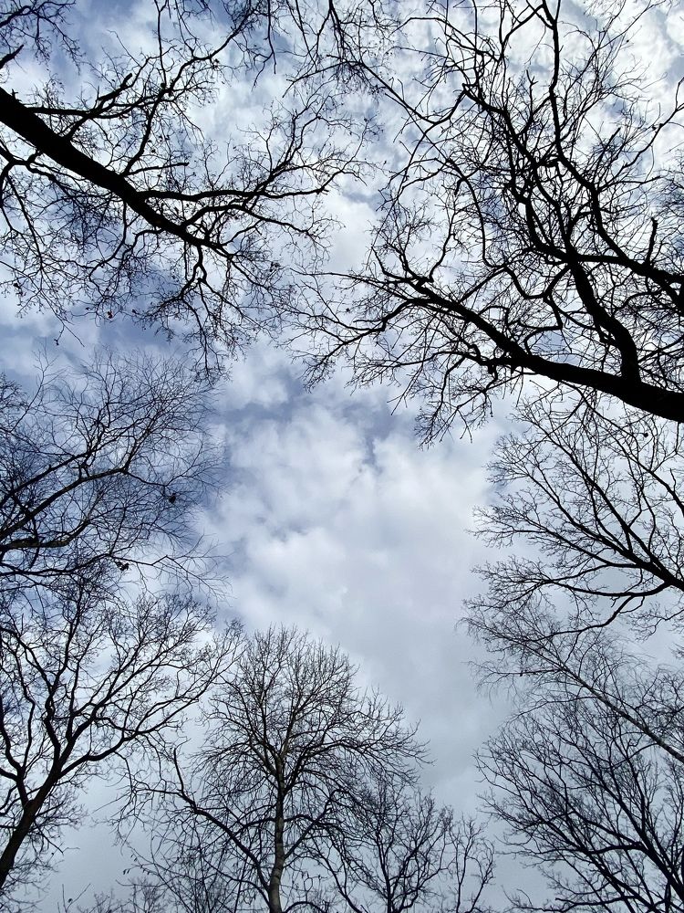 Фотография автора Нина Мальцева