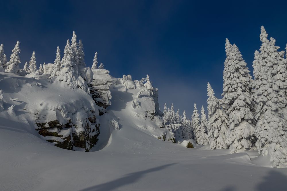 Фотография автора Анастасия Тараканова