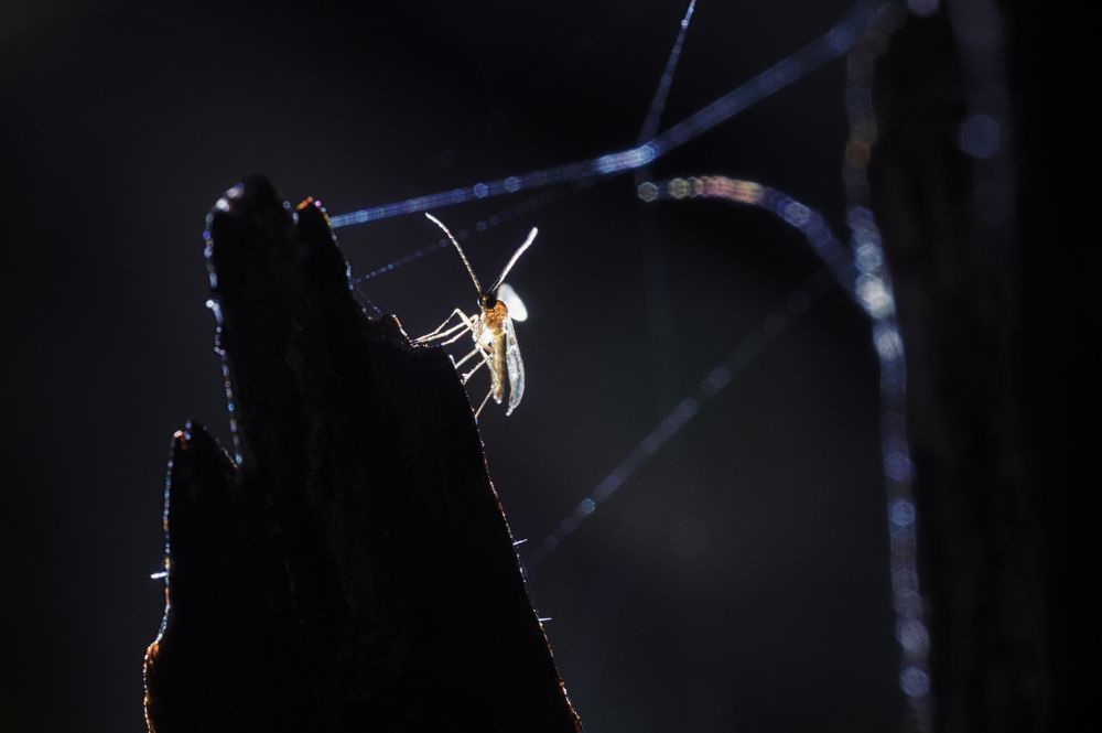 Photograph by Людмила Бегунова