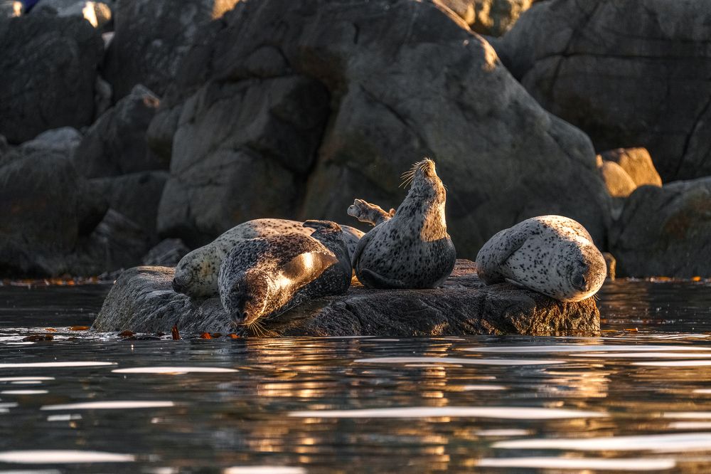 Photograph by Полякова Наталия