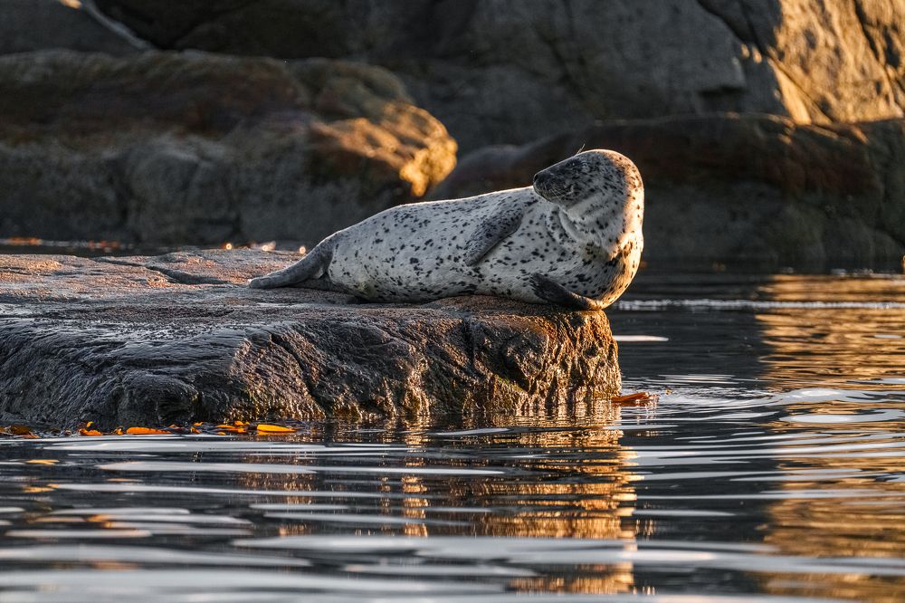 Photograph by Полякова Наталия
