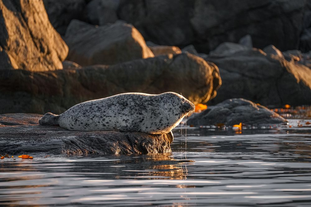 Photograph by Полякова Наталия