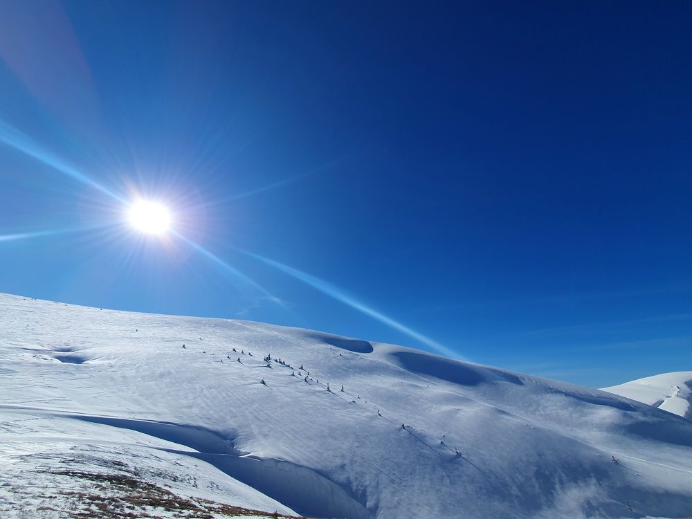 Photograph by Александра Ворона