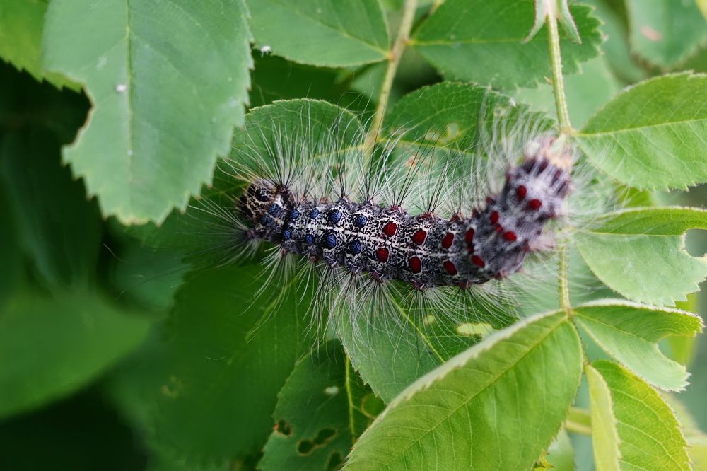 Photograph by Александр Кизим