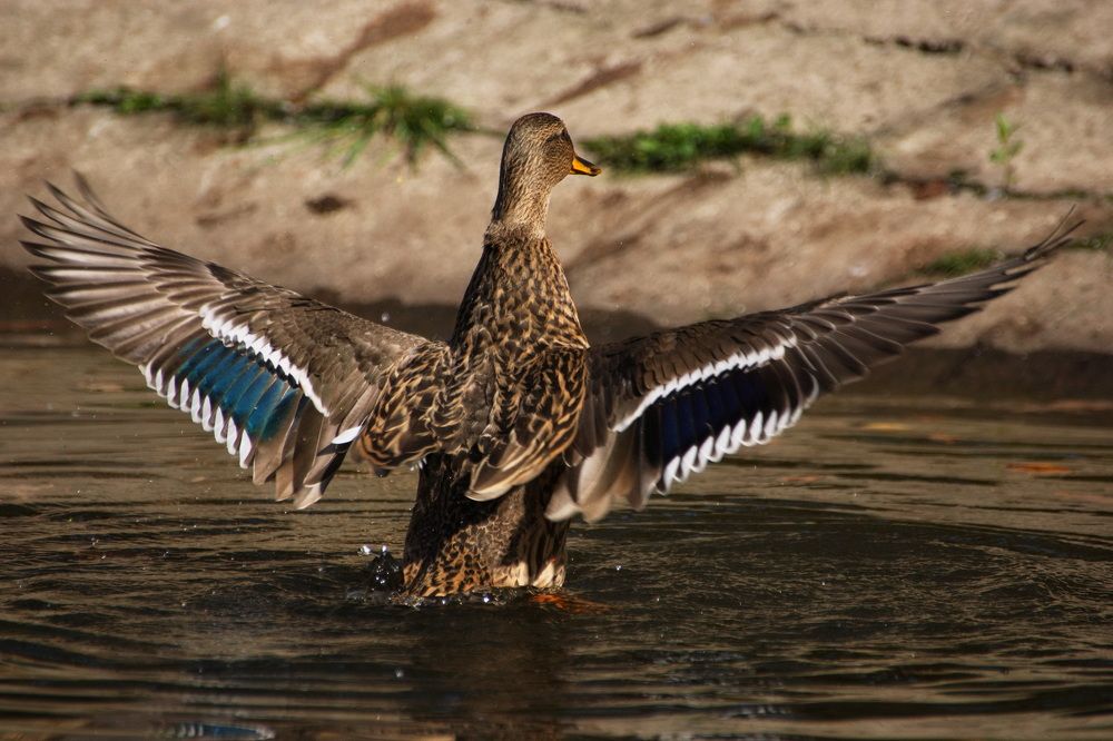 Во всей красе