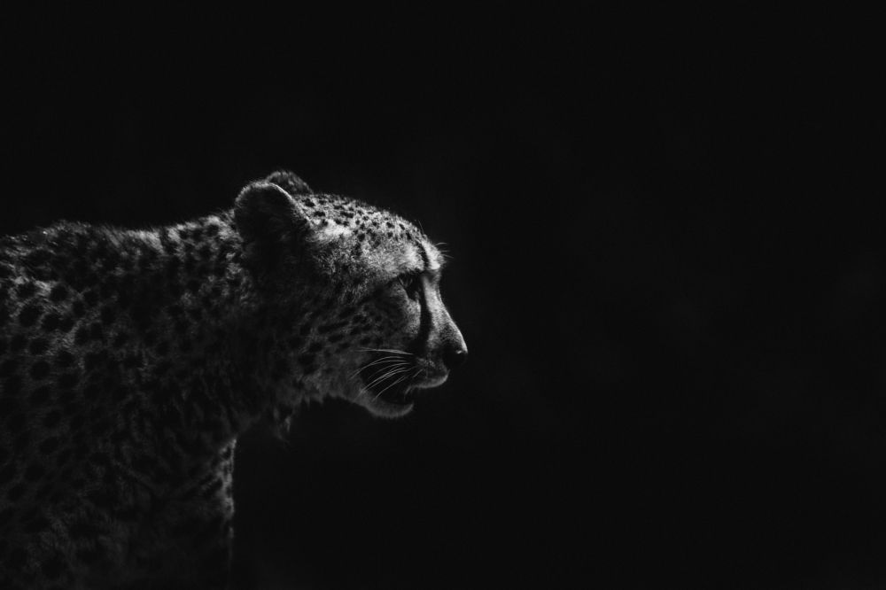 Photograph by Agnieszka Wieczorek