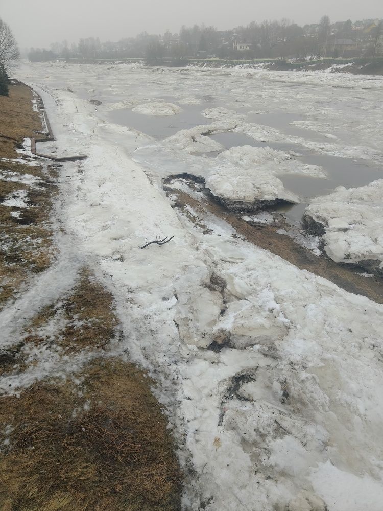 Photo #10405546
