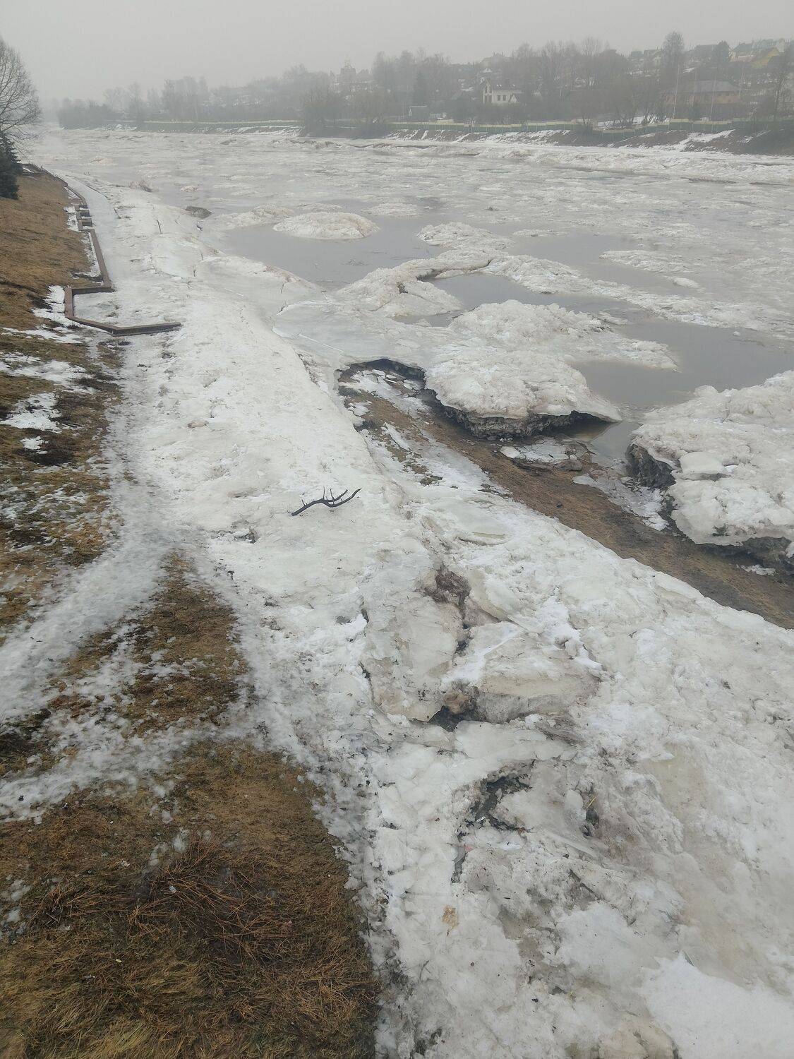 Photo #10405546