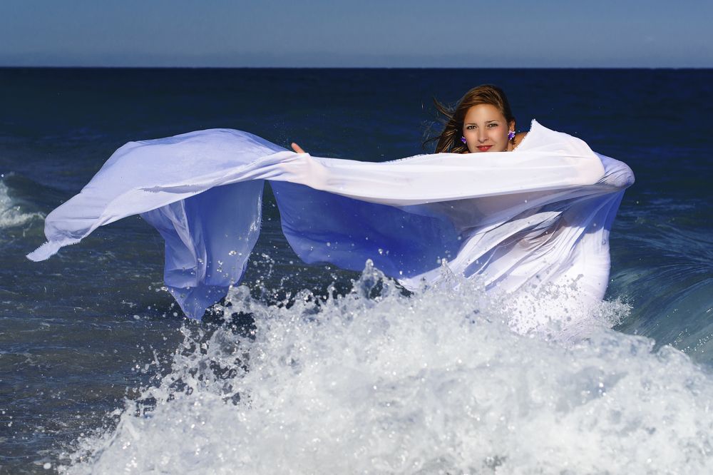 Plume by the sea four