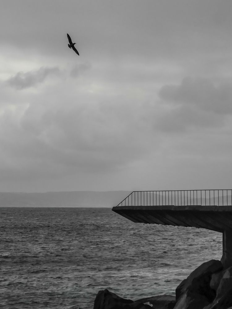 Photograph by Jose Antonio Novelle Cao