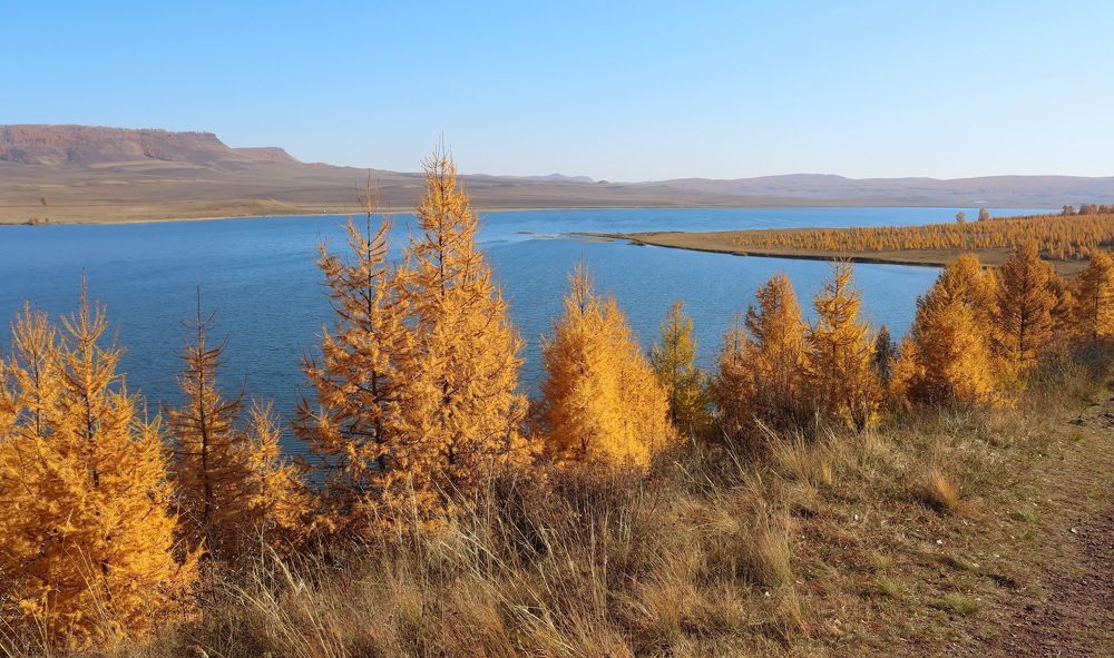 Осени янтарные краски.