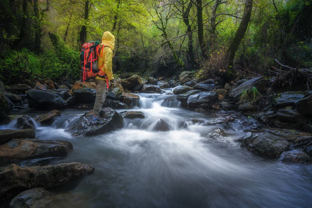 Photograph by Noureddine Belfethi