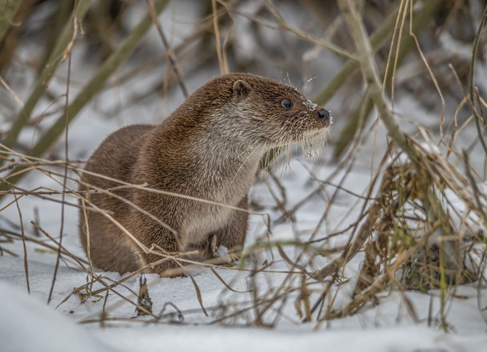 Photograph by Савчук Сергей