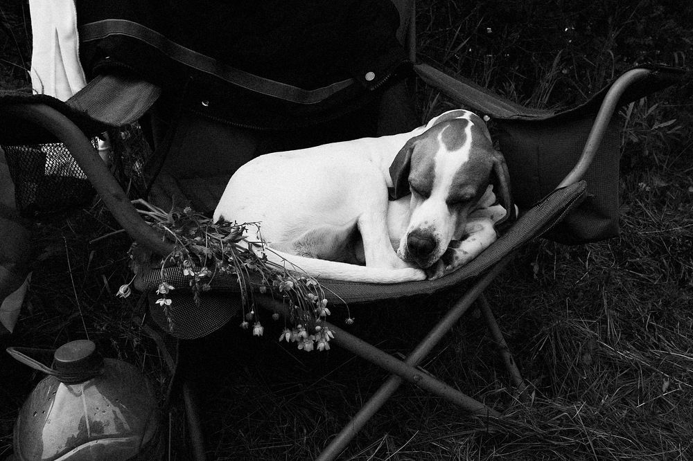 Photograph by Loptev Andrey