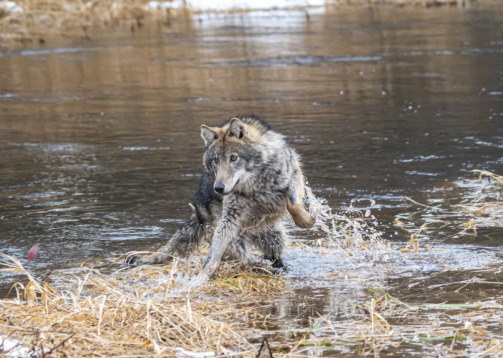 Photograph by Савчук Сергей