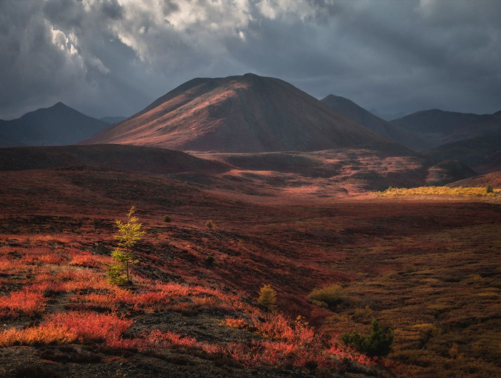 Photograph by Андрей Грачев