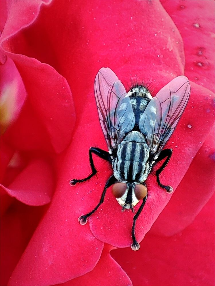 Photograph by Galina Novichkova