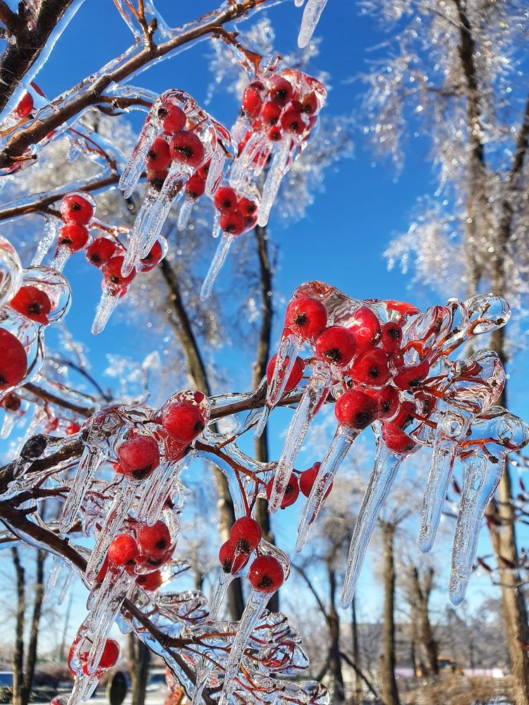 Photograph by Александра Ворона