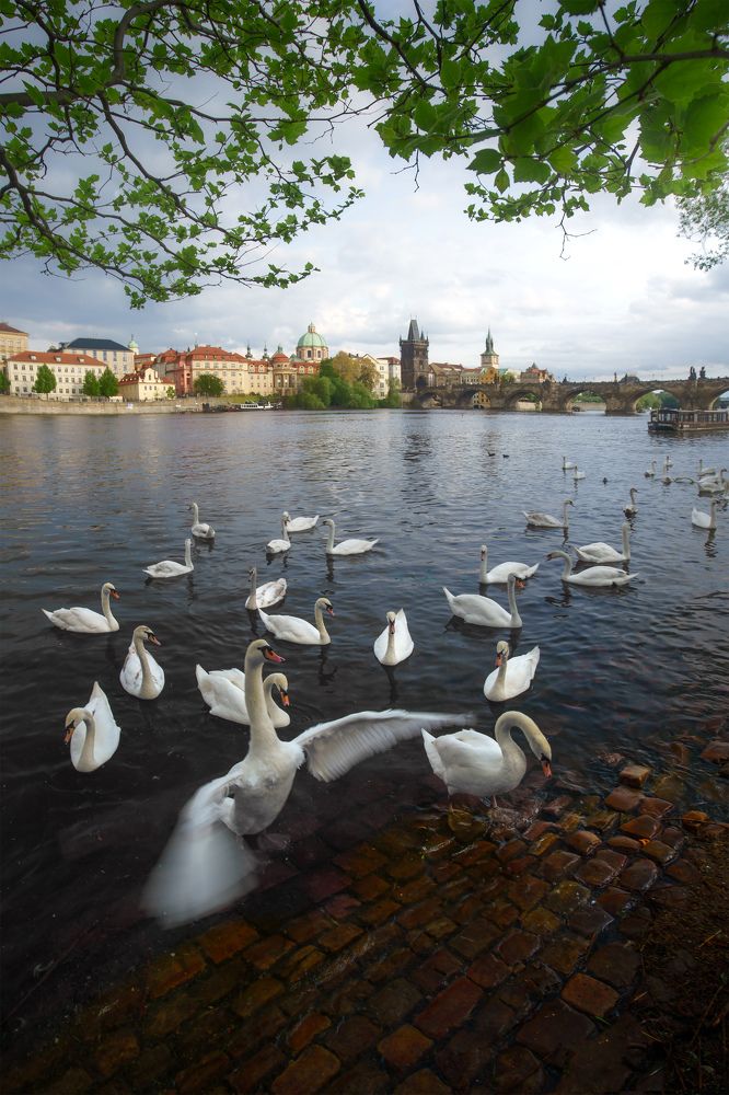 Фотография автора Peter Dužek