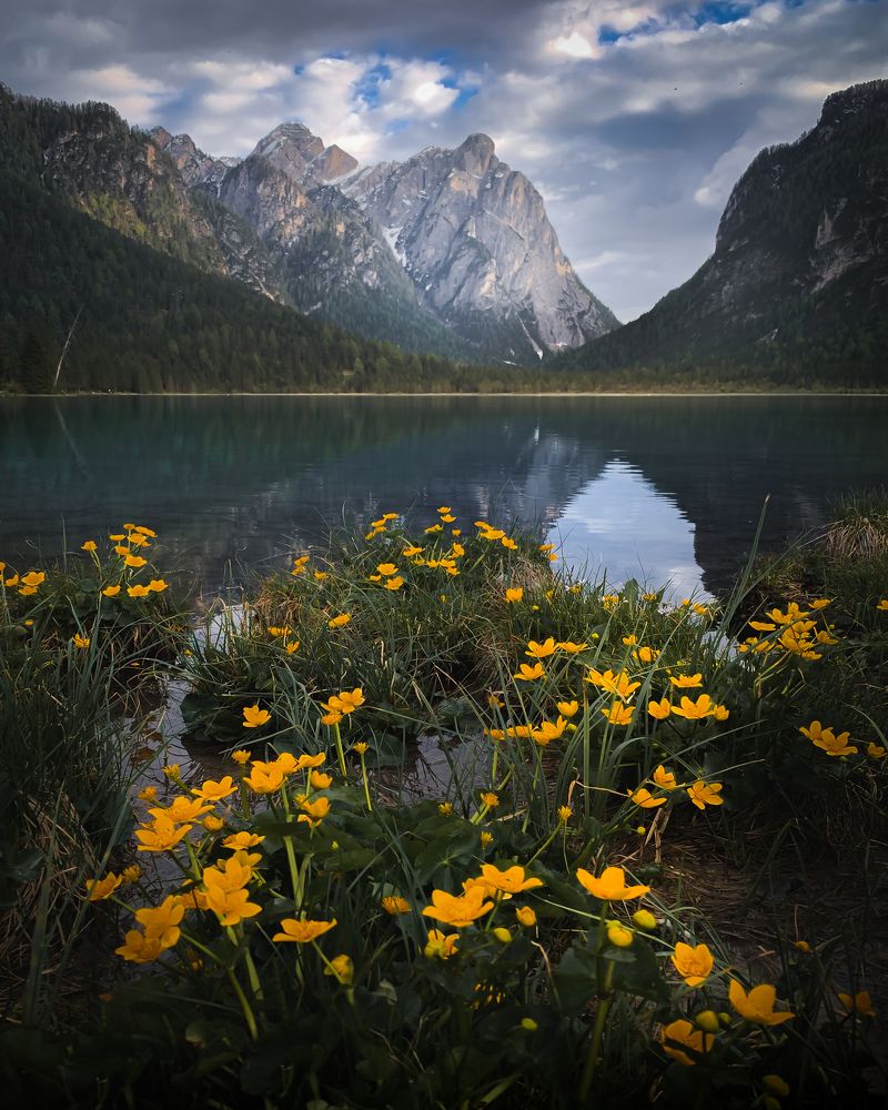 Фотография автора Peter Dužek