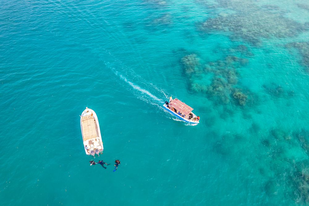 SEADIVING ACTIVITIES