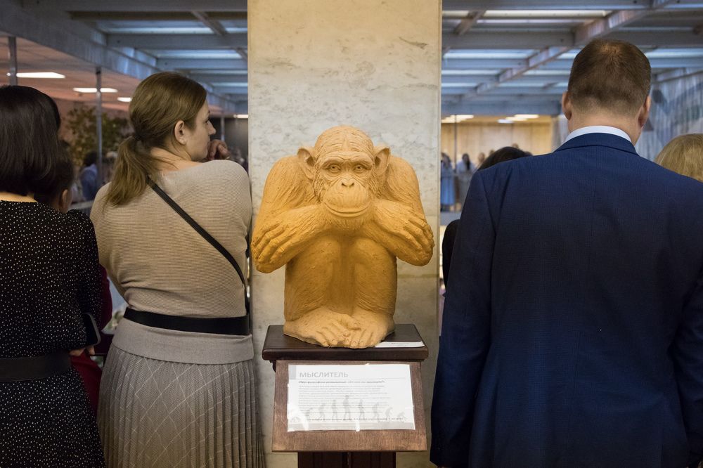 Фотография автора Алексей Корнеев